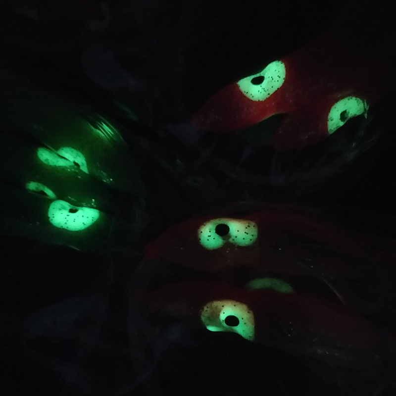 Señuelo de Pesca Lunker Sabiki - Furoshiki reseña y precio