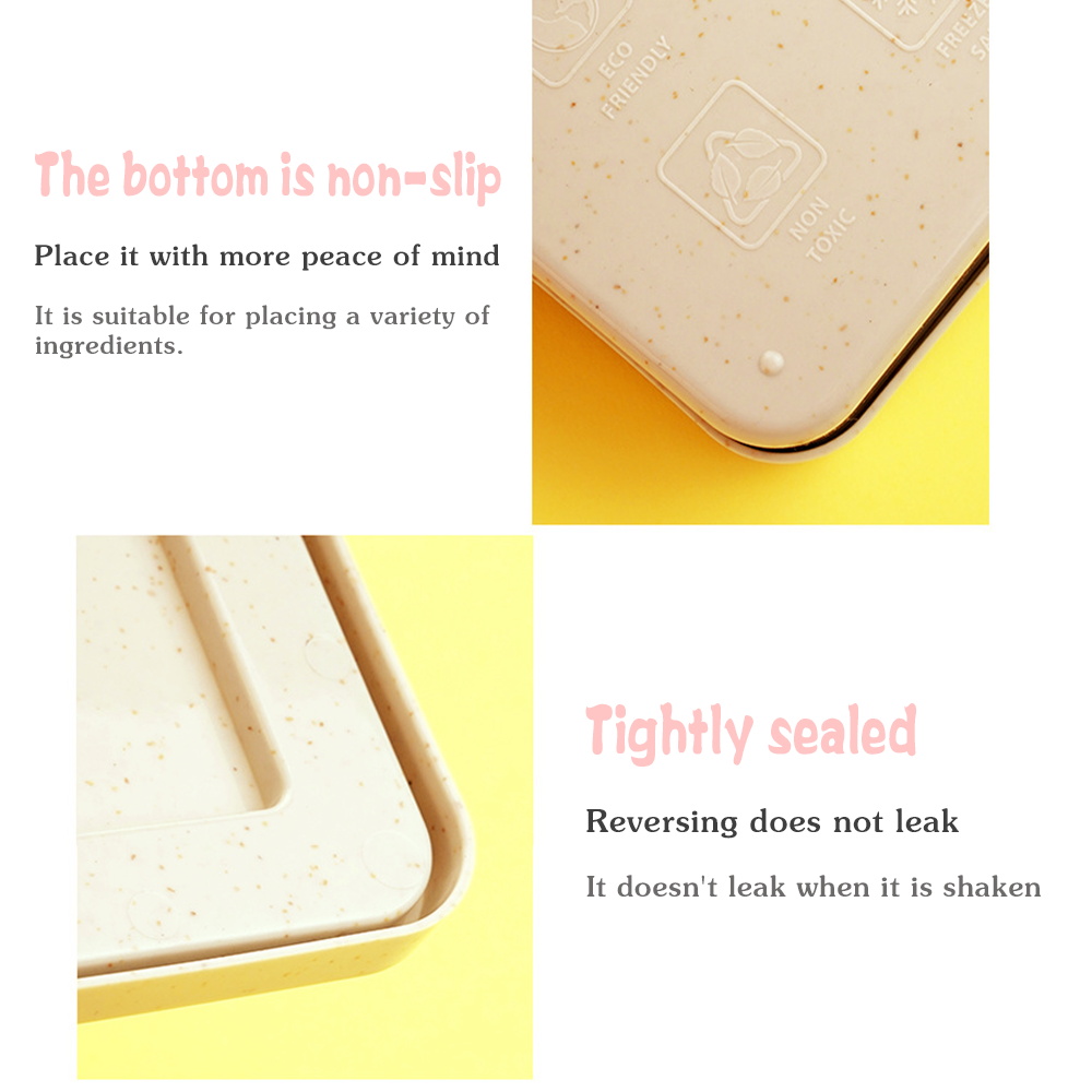 Caja de Almacenamiento para Sá - Bento Box reseña y precio
